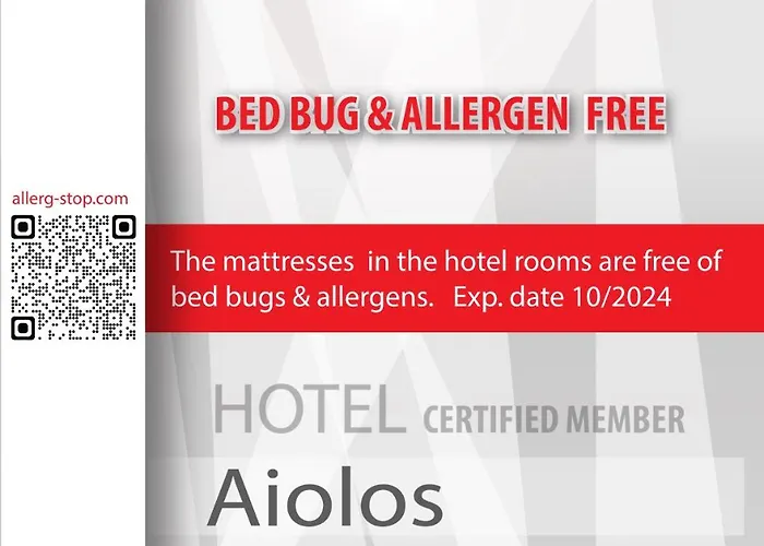 酒店 Aiolos 伊拉克利亚岛